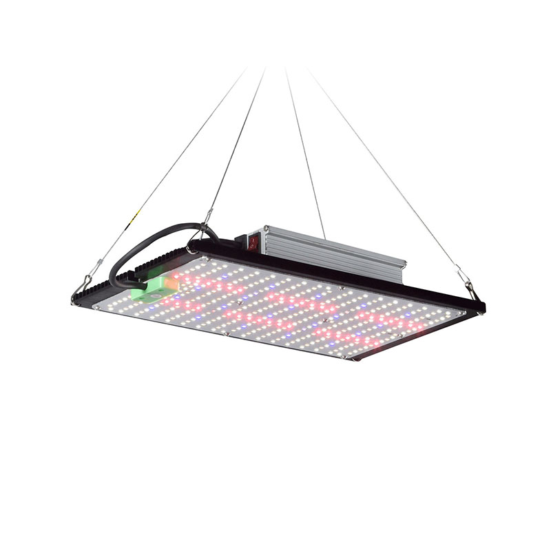 Plant Grow Light Full Spectrum - Lámpara de Cultivo LED Quantum-Board de