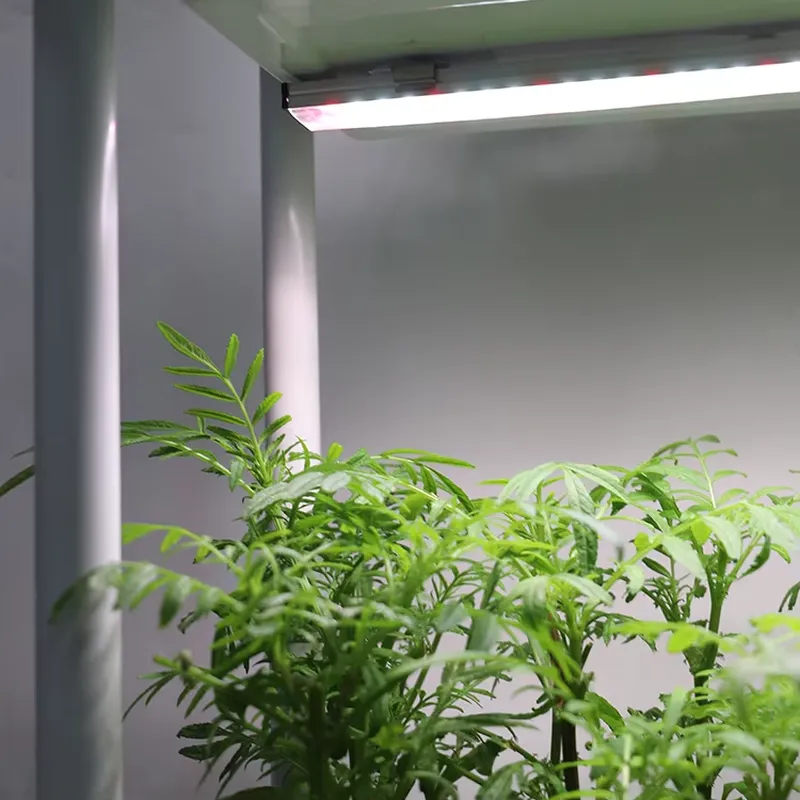 Jardinera Inteligente Vertical - Smart Garden Box reseña y precio