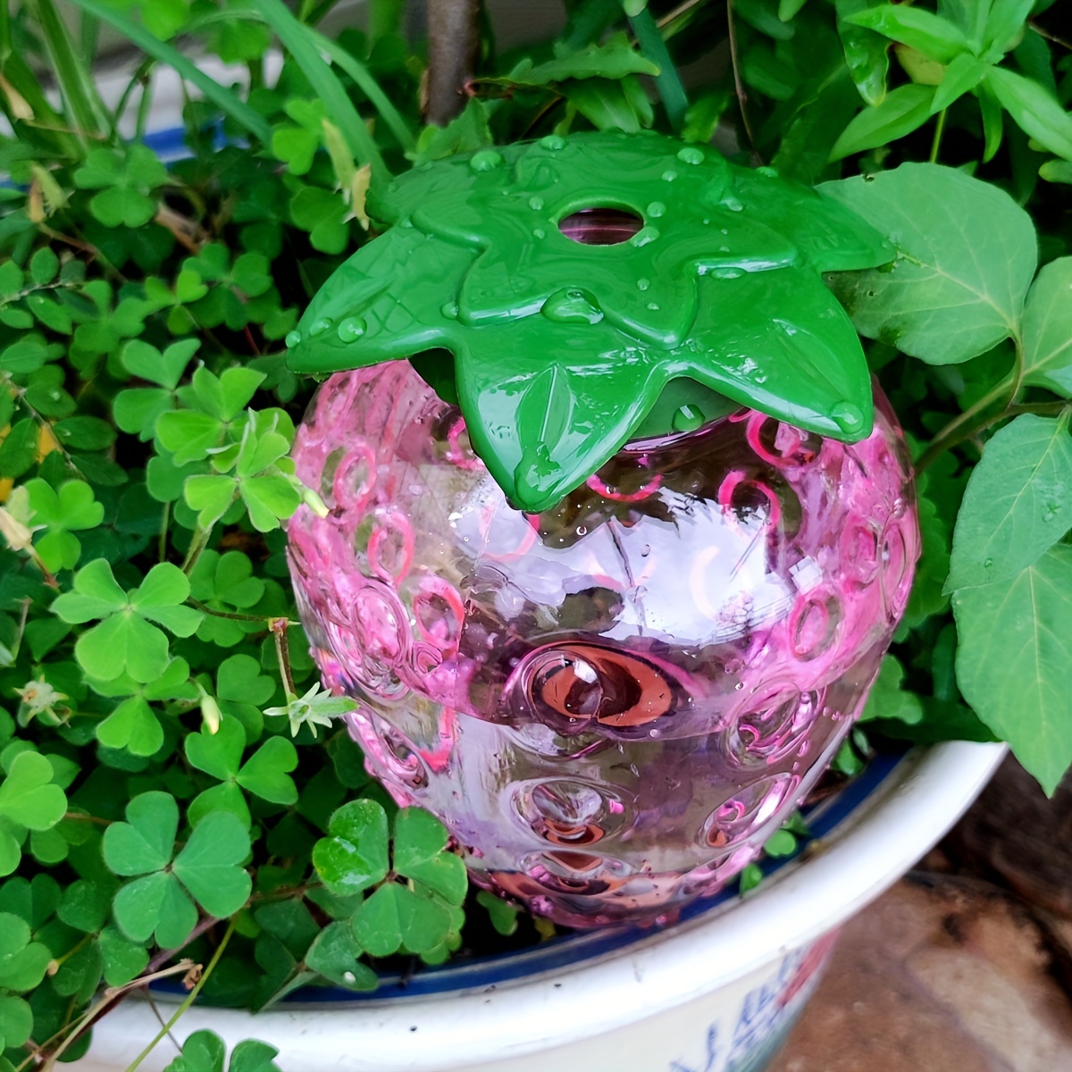 Herramienta de riego automátic - Smart Garden Kit reseña y precio