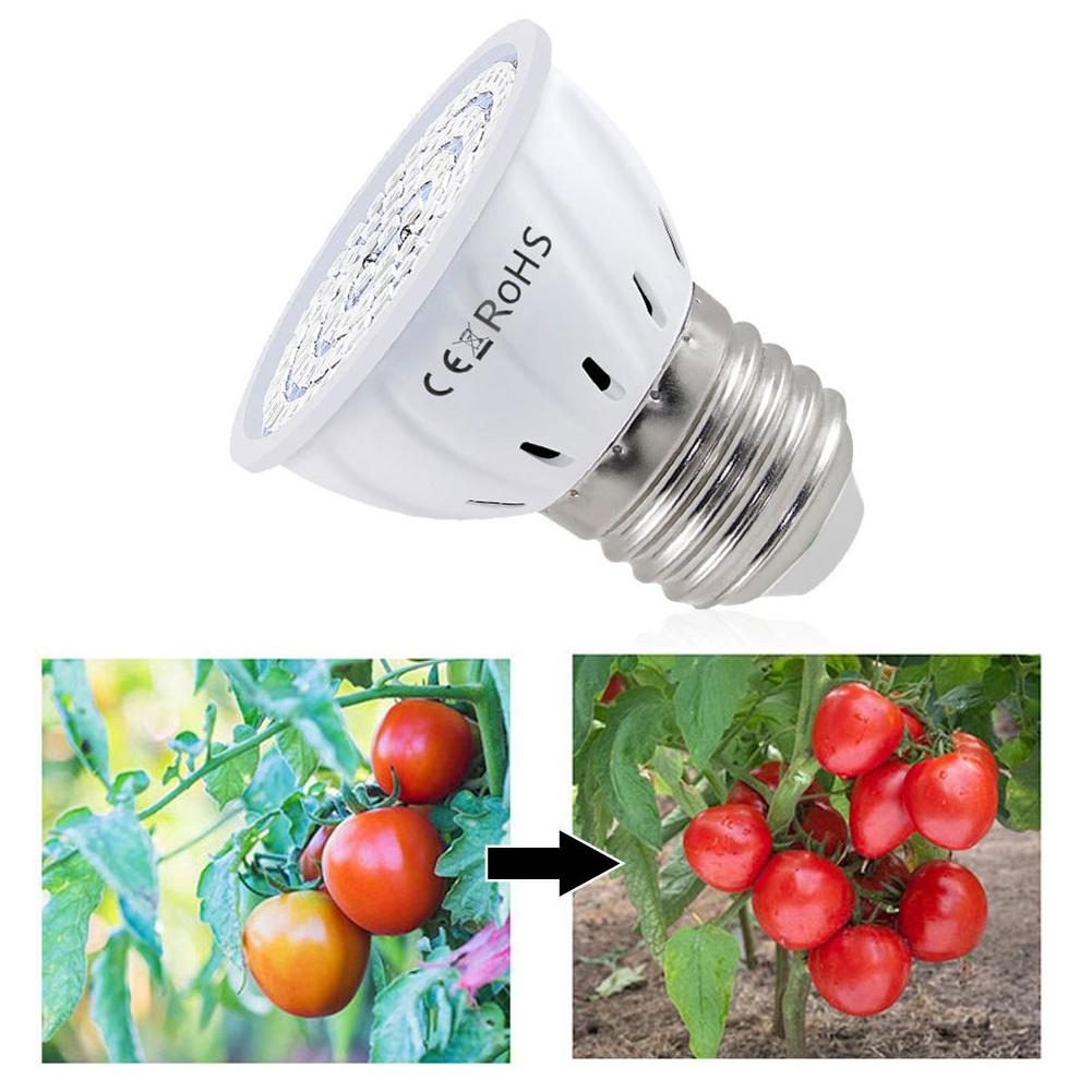 Bombilla LED de Cultivo E27 60 - Plant Grow Light Full Spectrum reseña y precio