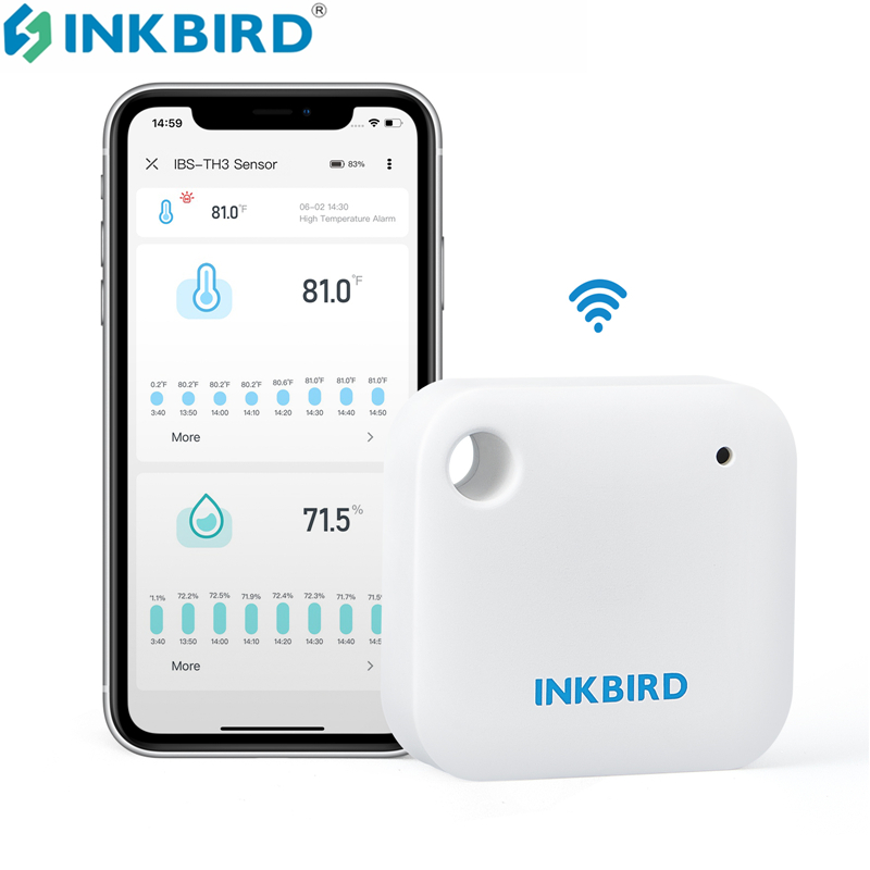 INKBIRD IBS-TH3 Termómetro hig - Rain Gauge Digital reseña y precio