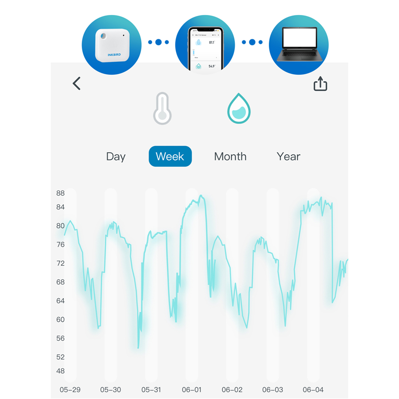 INKBIRD IBS-TH3 Termómetro hig - Rain Gauge Digital reseña y precio
