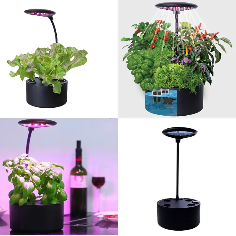 Sistema de Cultivo Hidropónico - Smart Garden Box reseña y precio