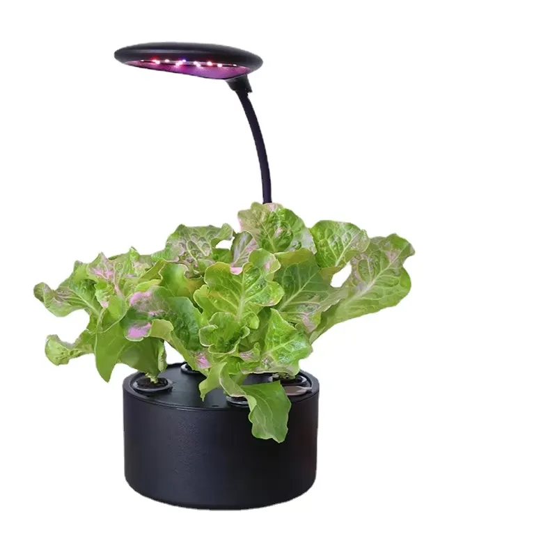 Sistema de Cultivo Hidropónico - Smart Garden Box reseña y precio