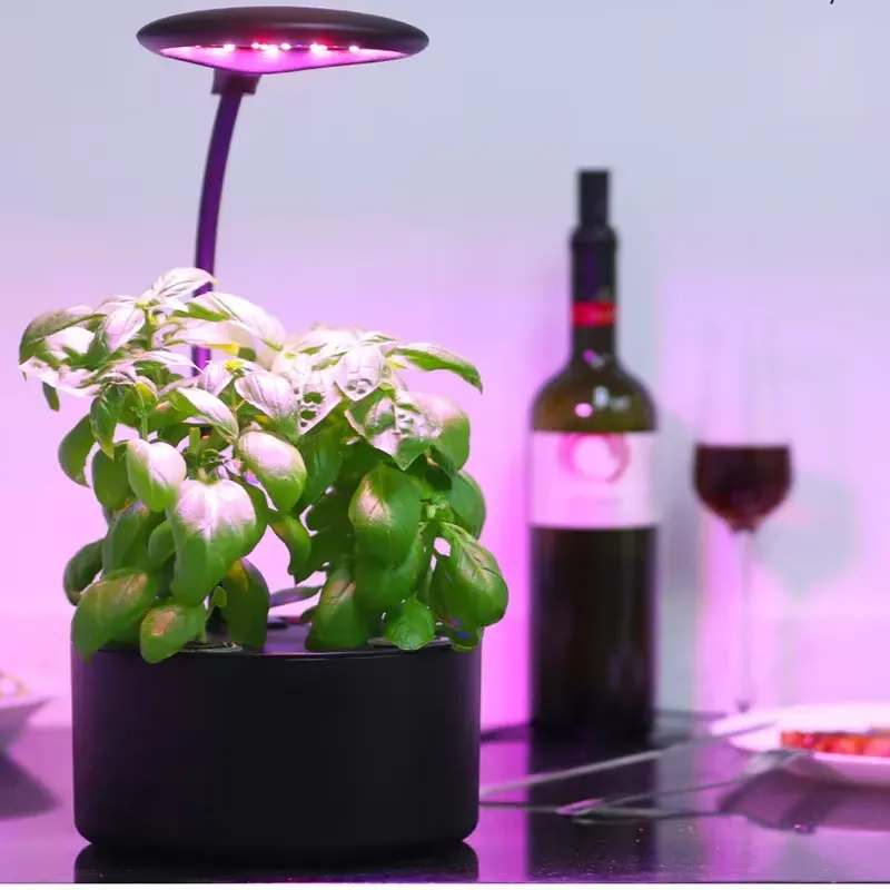 Sistema de Cultivo Hidropónico - Smart Garden Box reseña y precio