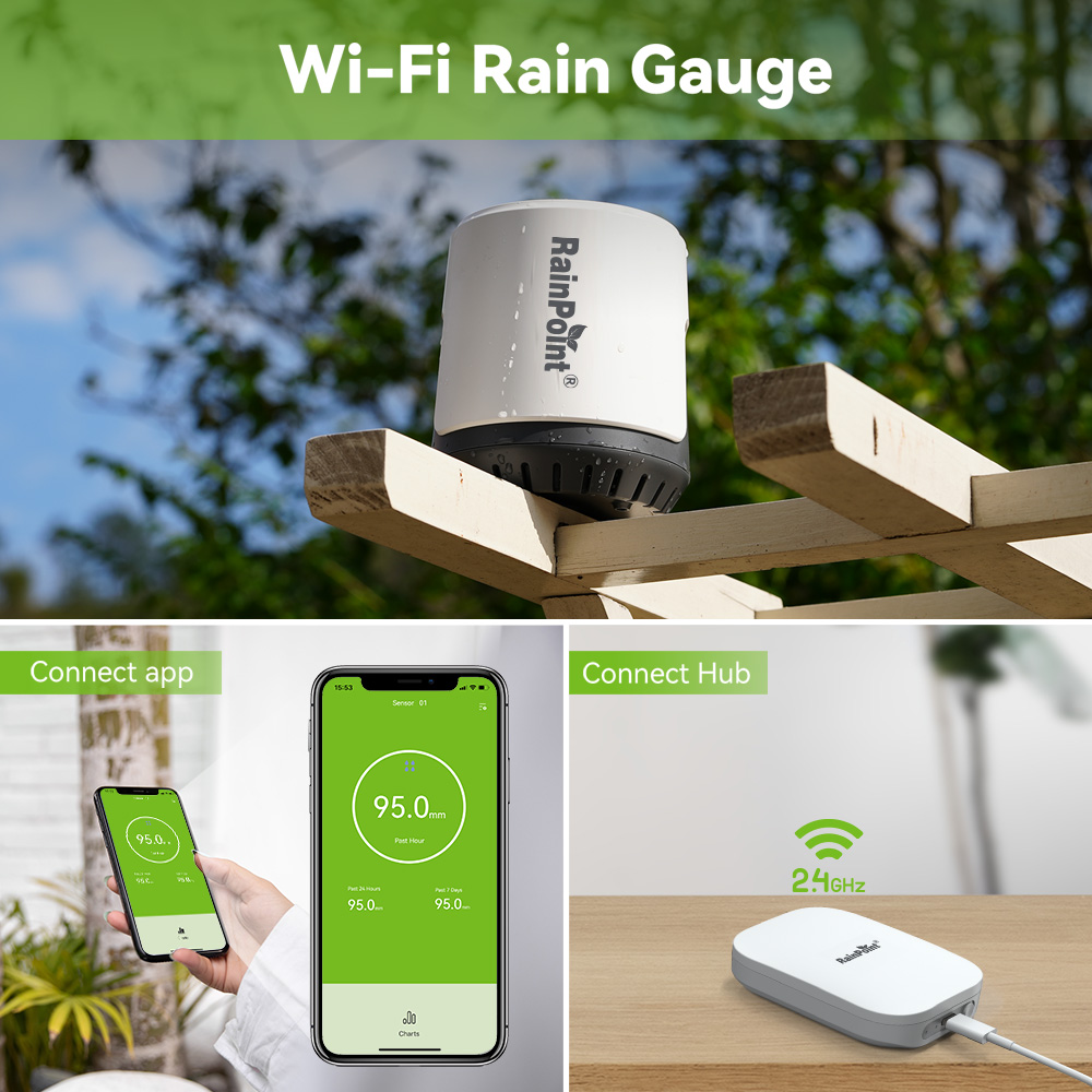 RAINPOINT - Pluviómetro Digita - Rain Gauge Digital reseña y precio