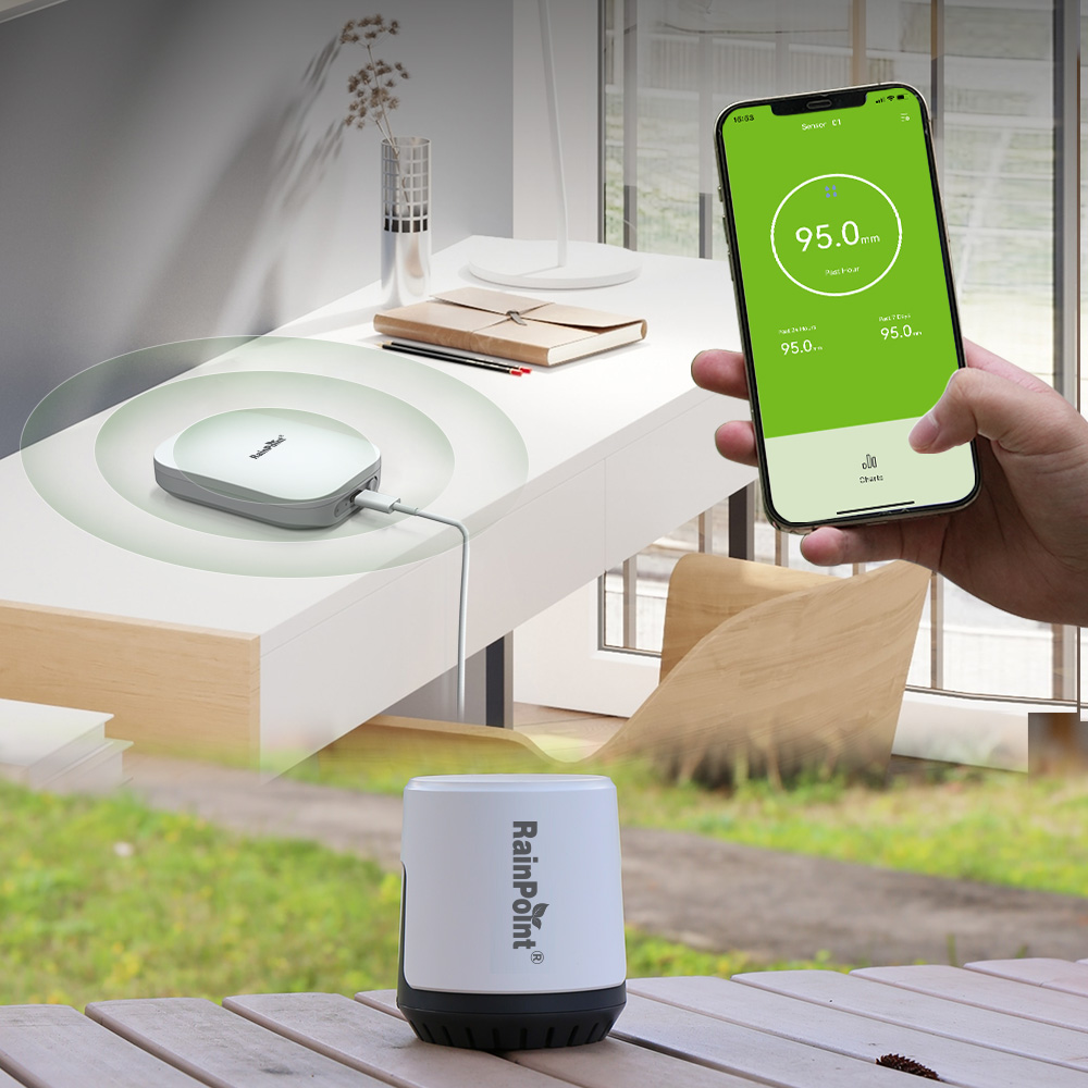 RAINPOINT - Pluviómetro Digita - Rain Gauge Digital reseña y precio