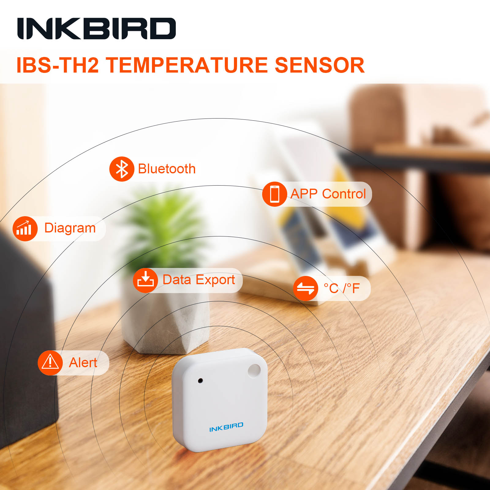 INKBIRD IBS-TH2 Sensor de temp - Rain Gauge Digital reseña y precio
