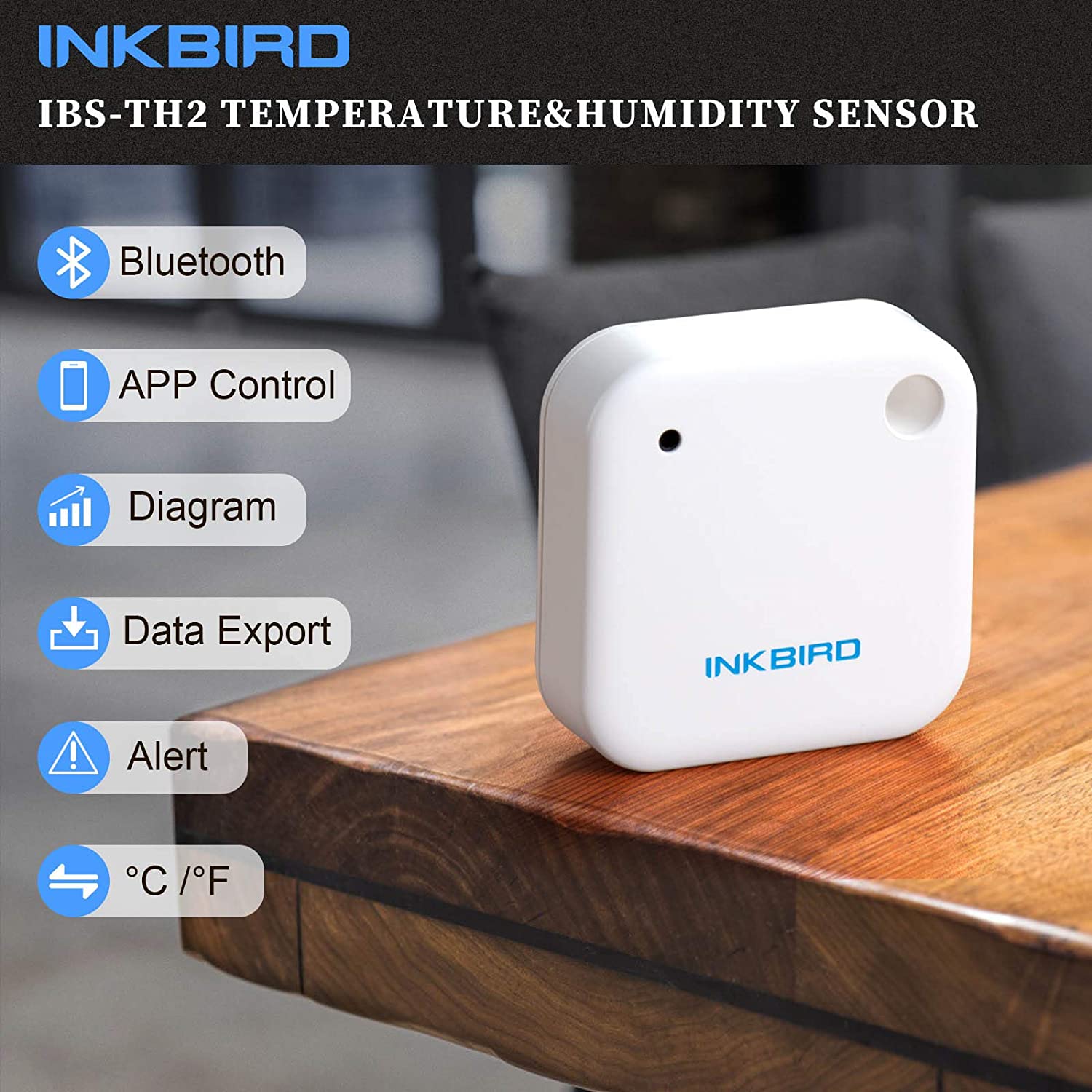IBS-TH2 impermeable Bluetooth  - Rain Gauge Digital reseña y precio
