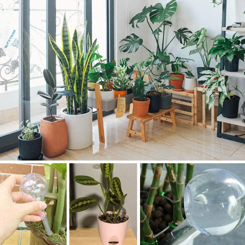 Bombillas de riego automático  - Smart Garden Herb reseña y precio